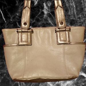 Tignanello Bag Italian Leather Metallic Silver
